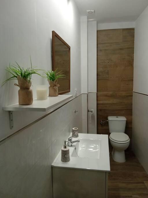 Apartmán Vivienda Rural Sentirte 2 Centro De Aracena Exteriér fotografie